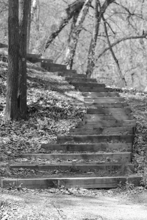 Stairway To What B&W